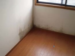 カビ汚れ before